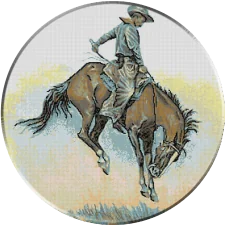 591.Cowboy 1