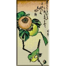 746. Fructe