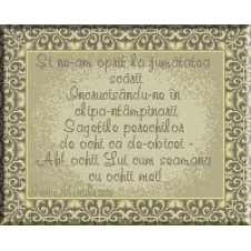 889.Cristina.Drum crucial(2)