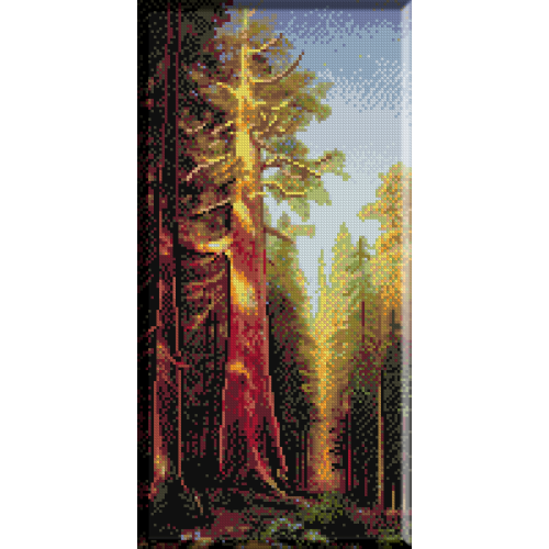 1076. Bierstadt - Marele copac, Mariposa Grove, California