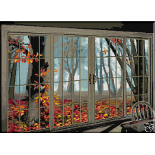 1130. Cristina - Covor de frunze in fereastra