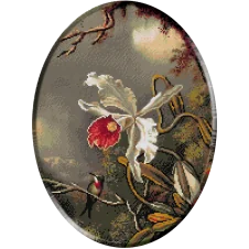 1243 - Heade.Orhidee si privighetoare