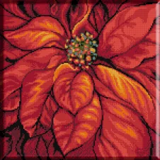 1265 - Poinsetia