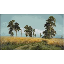 1679.Shishkin - peisaj de vara