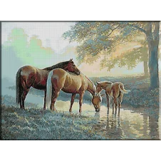 1682. Familie de caluti