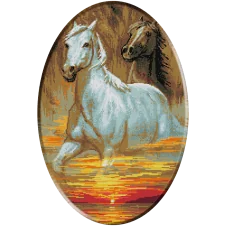 1175 -Cristina .Galop prin lumina