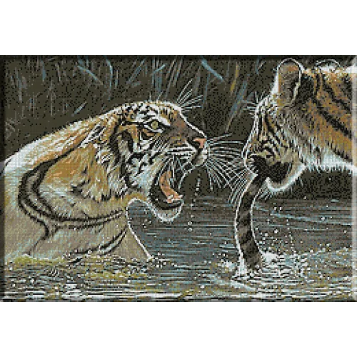 1424 - Lupta tigrilor