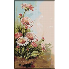 1688.KatharinaKlein - Flori de camp