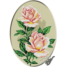 185. Trandafiri roz
