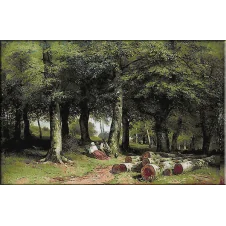 1681.Shishkin - In dumbrava