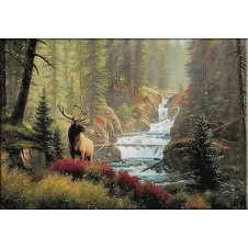 1840.Cascada cerbilor