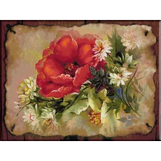 2162.Cristina-Iluzie florilor de camp