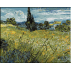 451.Van Gogh - Camp inverzit