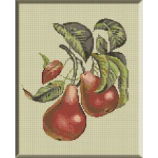 goblen-pere