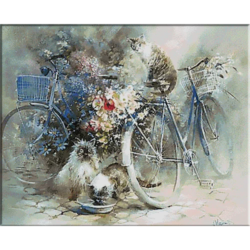 2596.Bicycles, cats