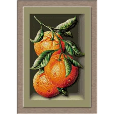 2674.Cristina-Orange