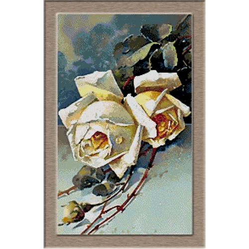 2754.Klein-White roses