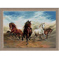 cai in galop