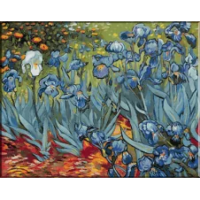 457. Van Gogh - Gradina cu irisi
