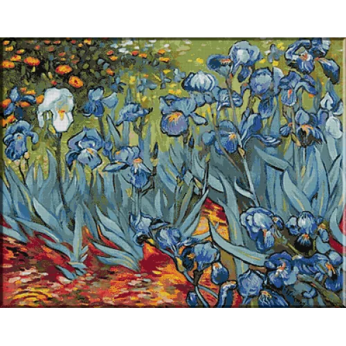 457. Van Gogh - Gradina cu irisi
