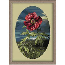 3167.Floare de mac