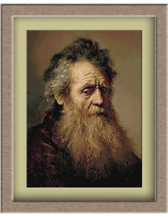 Set goblen 3351.Rembrandt.Cap de batran