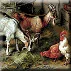 Animale Domestice